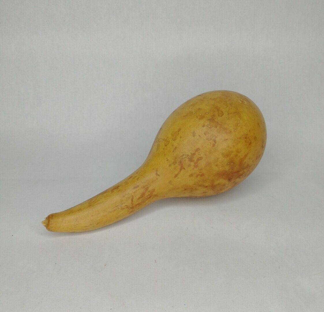 Real Natural Dried Gourd Maraca Ready To Paint