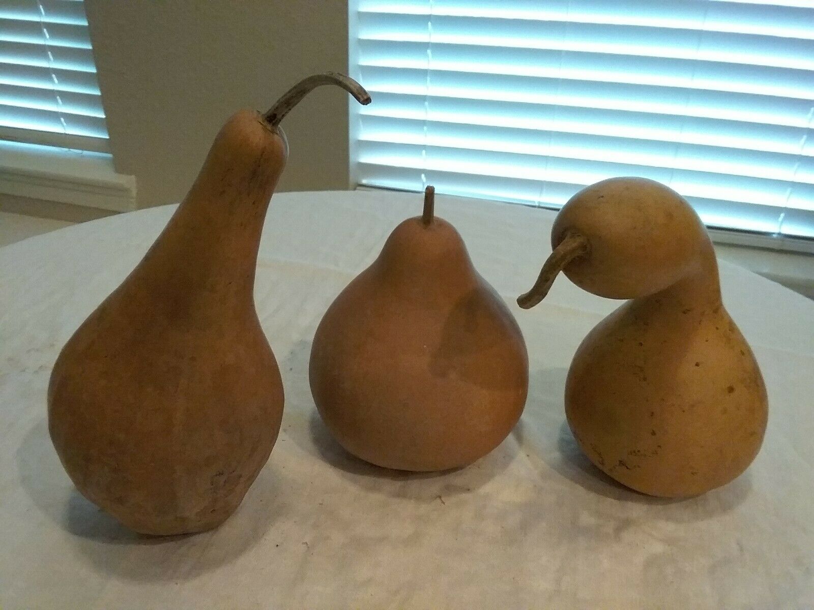 3 Nice Gourds Ready For Crafts