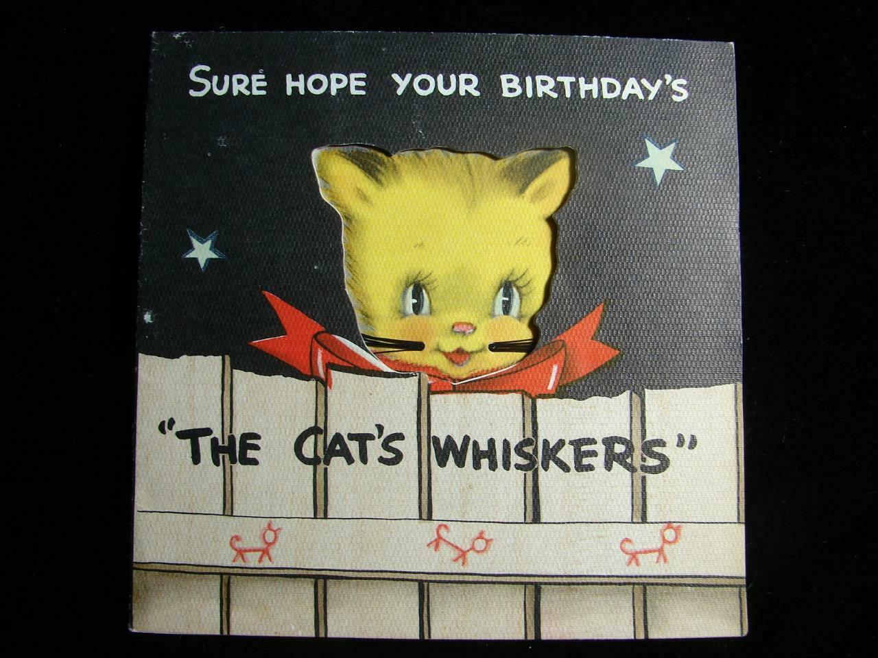 Vintage "the Cat's Whiskers Birthday Wish!!" Birthday Greeting Card