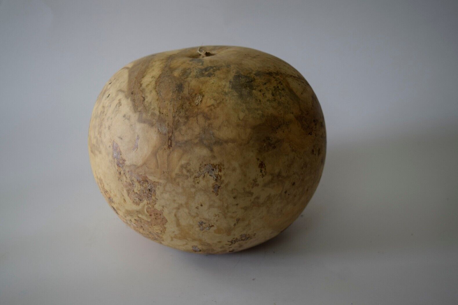 One Dried Small Bushel Gourd For Crafts