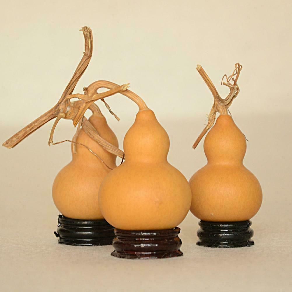 7-12cm Potable Natural Real Dried Wine Bottle Gourd K Ornaments U Decor L7q1
