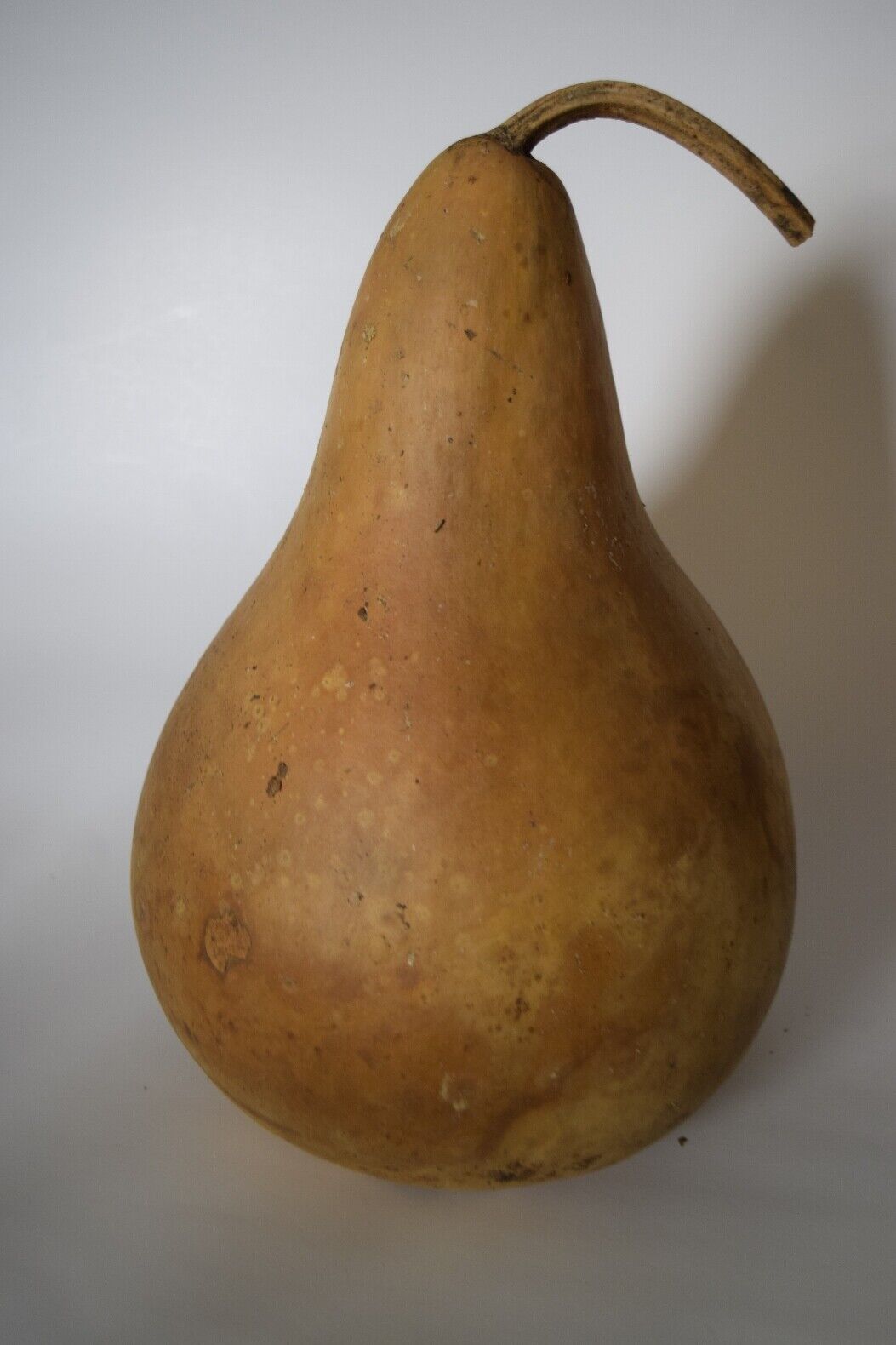 One Dried Martin Gourd For Crafts