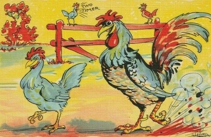 Always On The Lookout For New Business, Cheating Rooster, Funny Vintage Postcard